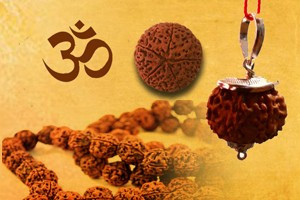 Rudraksha Report