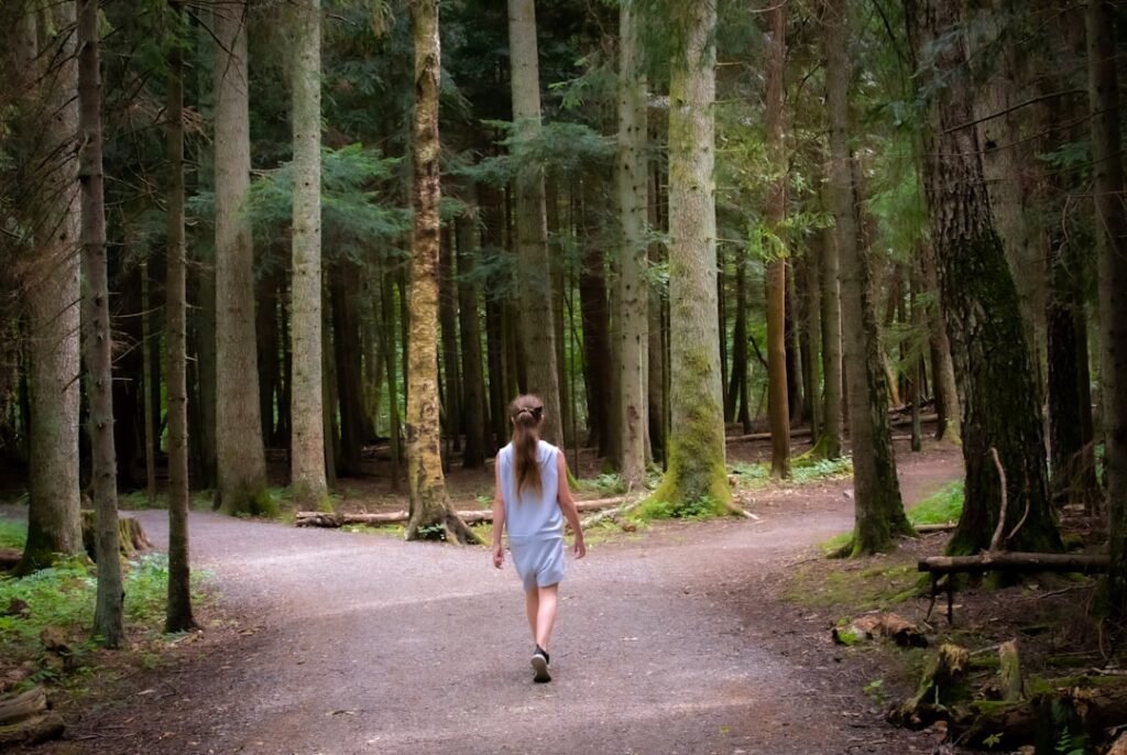 Person choosing a path through trees in daylight
