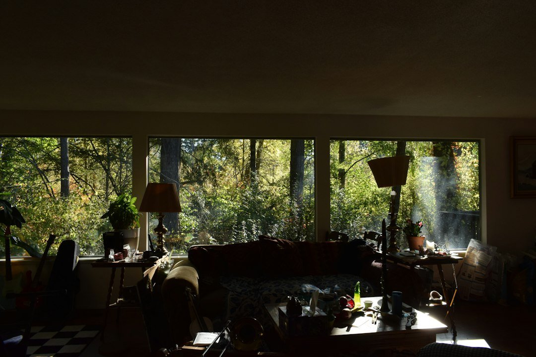 Morning sunlight streaming into a room through large windows