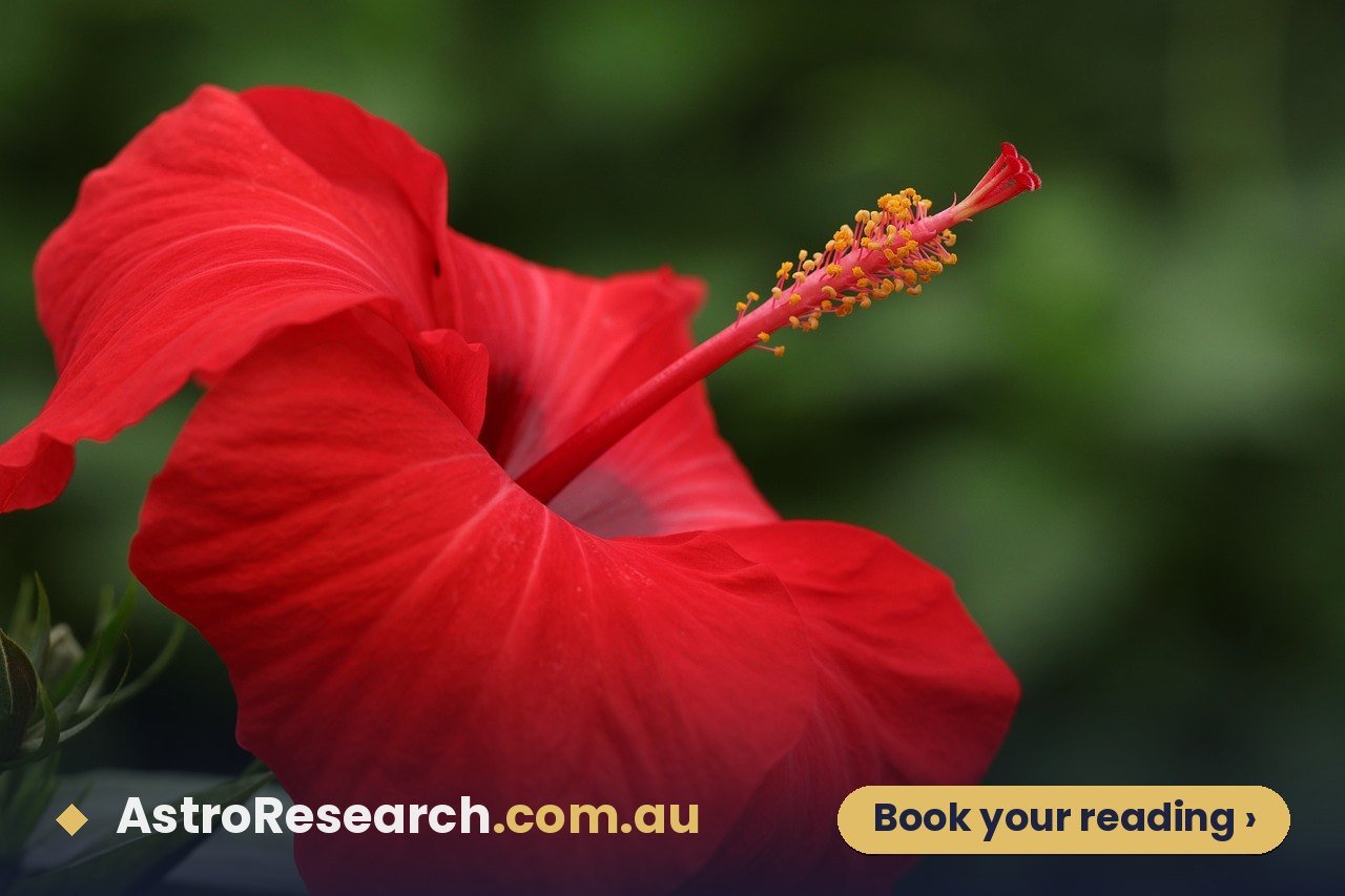 Read more about the article Manglik Dosha Remedies: What Actually Helps (and What’s Myth)