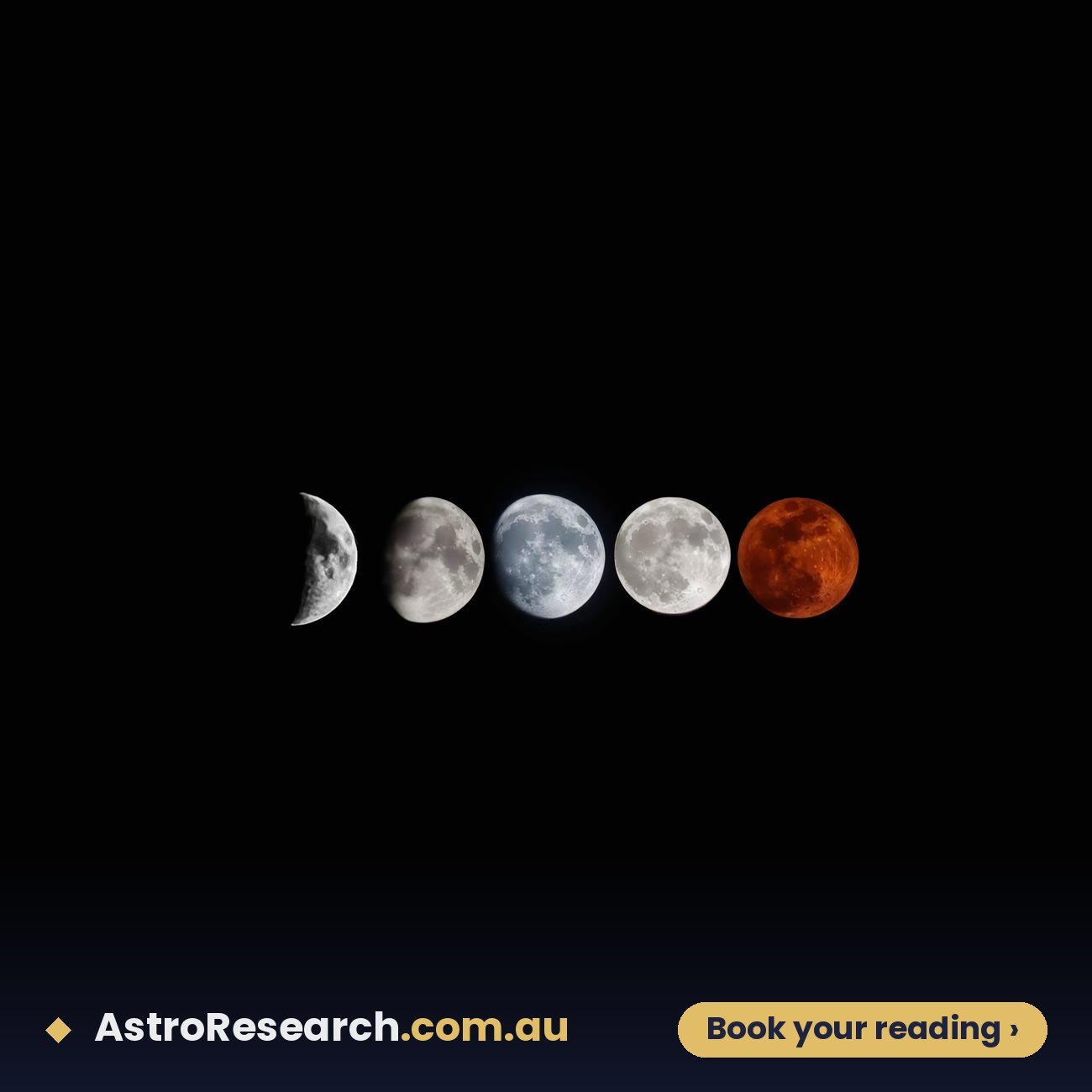 The phases of the Moon shown in sequence across the year