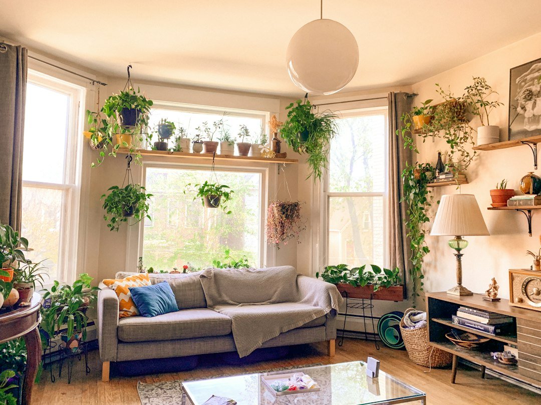 Bright, sunlit living room with plants and large windows, the warm north-facing living area a south-facing Australian home enjoys
